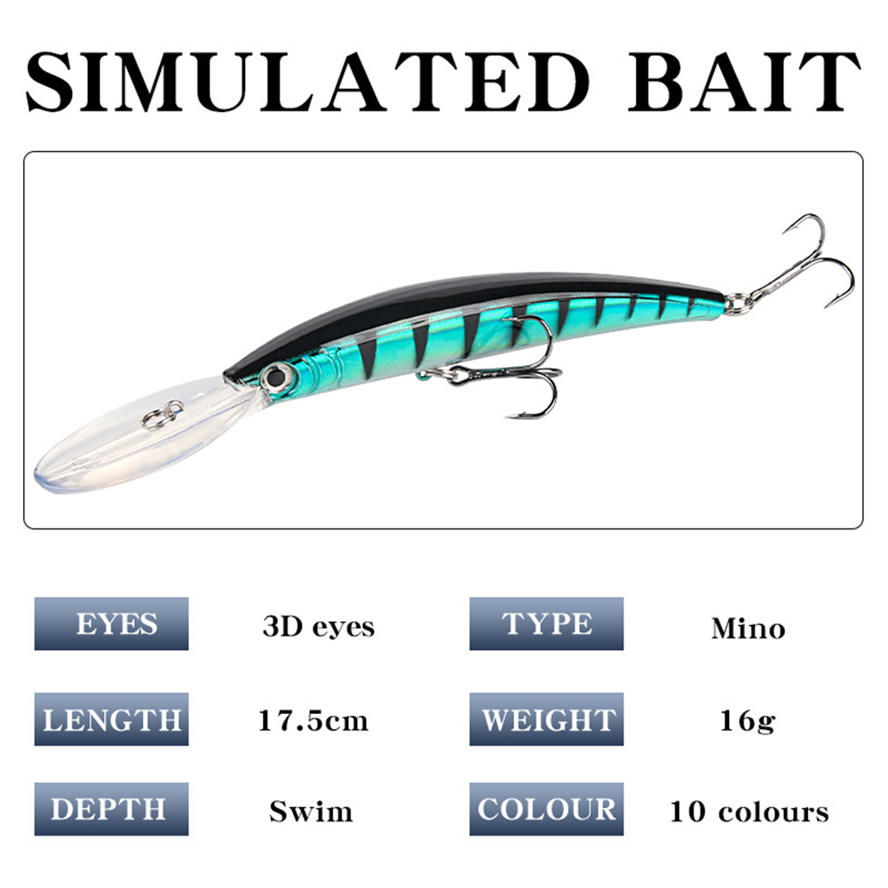 Long Tongue Minnow Fishing Lur - Fishing Equipment Parts review and price